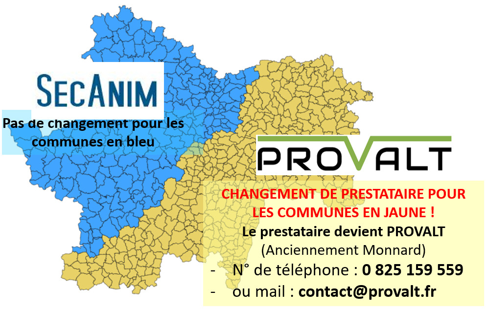 D�coupage_Equarrissage
